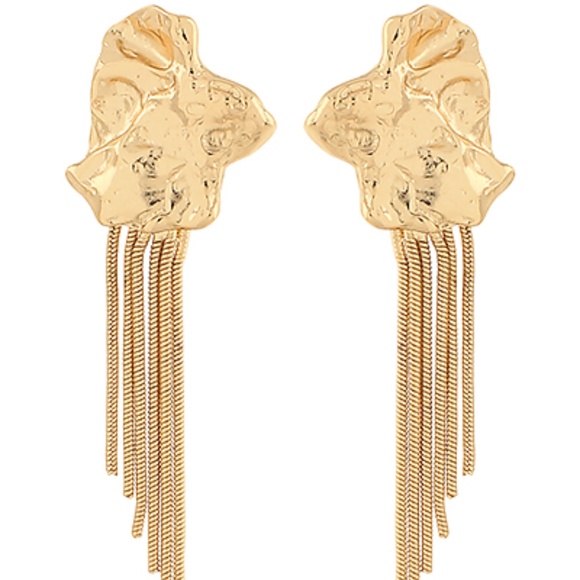 Hammered Organic & Fringe Earrings - Picture 1 of 1